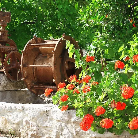 Bed & Breakfast Mouria &