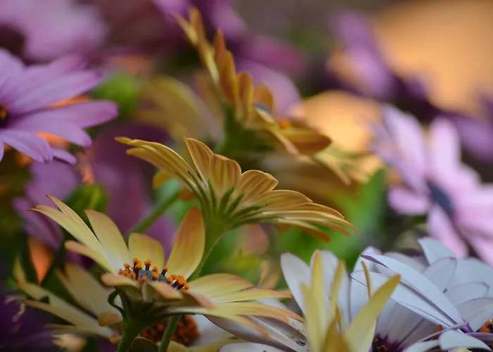 Mouria & 4* Epidaurus